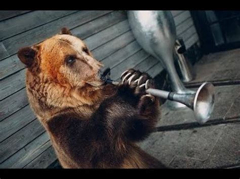 熊熊吹樂器